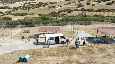‘Doğal yaşam alanı’ sahipsiz hayvanların evi oldu