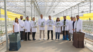 Jeotermal Kaynaklı Teknolojik Sera’da Yeni Ürün Sezonu Açıldı