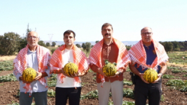 AYVATLAR KAVUN FESTİVALİ DÜZENLENDİ