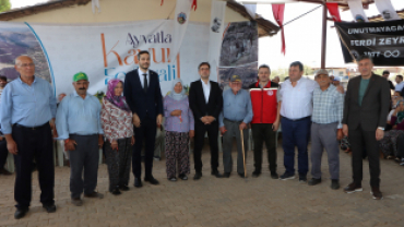 AYVATLAR KAVUN FESTİVALİ DÜZENLENDİ