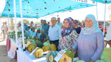 AYVATLAR KAVUN FESTİVALİ DÜZENLENDİ