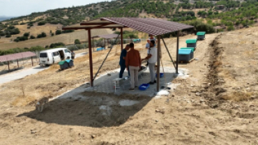 ‘Doğal yaşam alanı’ sahipsiz hayvanların evi oldu