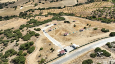 ‘Doğal yaşam alanı’ sahipsiz hayvanların evi oldu