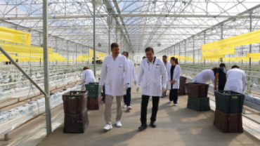 Jeotermal Kaynaklı Teknolojik Sera’da Yeni Ürün Sezonu Açıldı