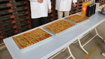 Jeotermal Kaynaklı Teknolojik Sera’da Yeni Ürün Sezonu Açıldı