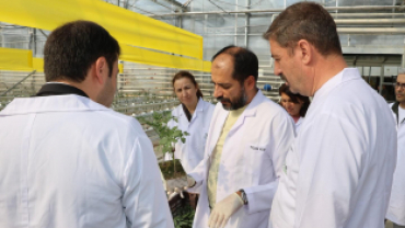 Jeotermal Kaynaklı Teknolojik Sera’da Yeni Ürün Sezonu Açıldı