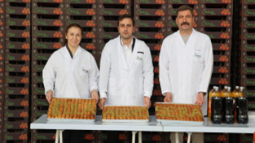 Jeotermal Kaynaklı Teknolojik Sera’da Yeni Ürün Sezonu Açıldı