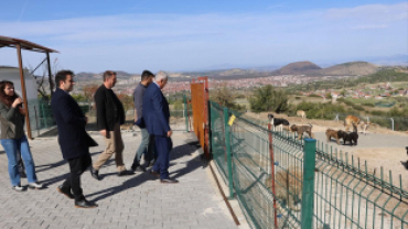 Kula’da hayvan dostu belediyecilik: doğal yaşam alanında inceleme